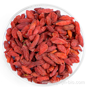 High concentration of nutrients goji berry